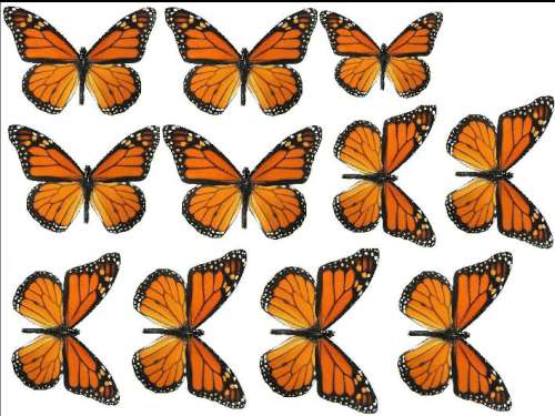 Printed Wafer Paper - Monarch Butterflies - Click Image to Close